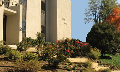 20 Ridgely Ave. Image